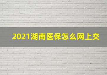 2021湖南医保怎么网上交