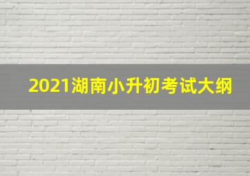 2021湖南小升初考试大纲