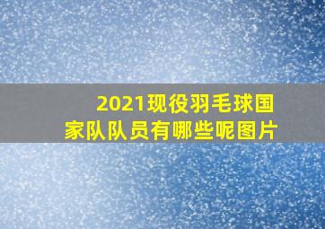 2021现役羽毛球国家队队员有哪些呢图片