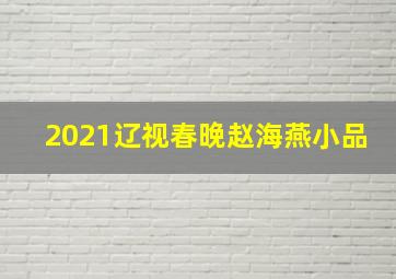 2021辽视春晚赵海燕小品