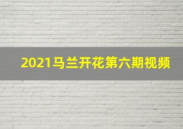 2021马兰开花第六期视频