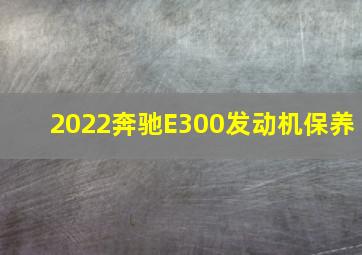 2022奔驰E300发动机保养