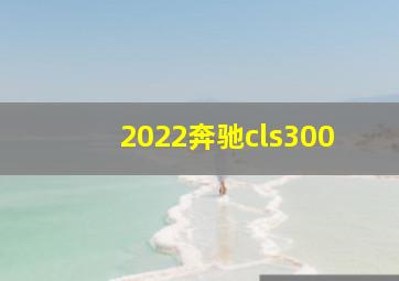 2022奔驰cls300