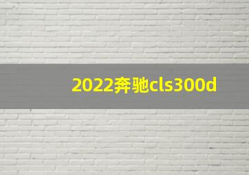 2022奔驰cls300d