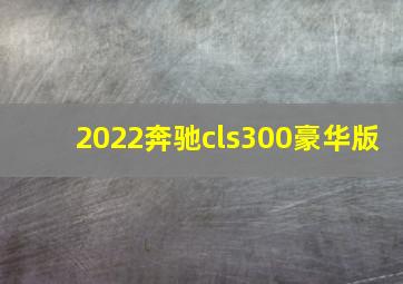 2022奔驰cls300豪华版