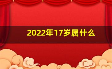 2022年17岁属什么