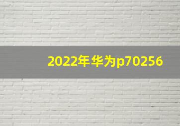 2022年华为p70256