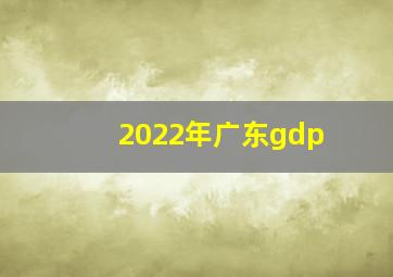 2022年广东gdp