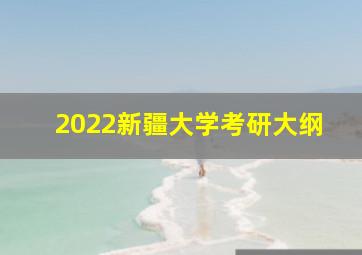 2022新疆大学考研大纲