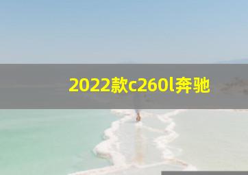 2022款c260l奔驰