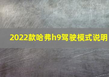 2022款哈弗h9驾驶模式说明