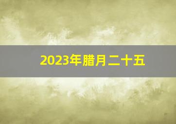 2023年腊月二十五