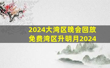 2024大湾区晚会回放免费湾区升明月2024