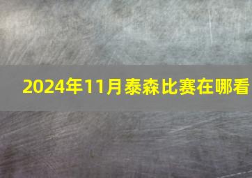 2024年11月泰森比赛在哪看