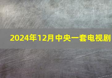 2024年12月中央一套电视剧