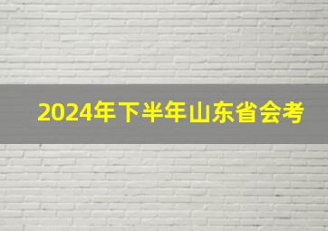 2024年下半年山东省会考