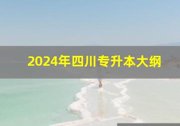 2024年四川专升本大纲