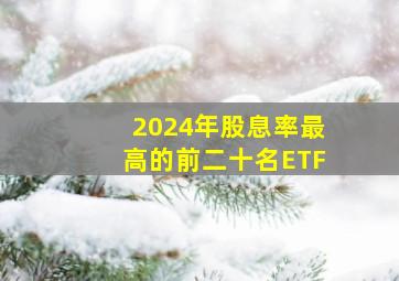 2024年股息率最高的前二十名ETF