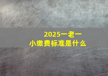 2025一老一小缴费标准是什么