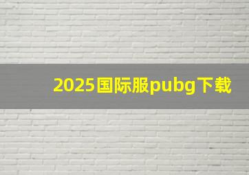 2025国际服pubg下载