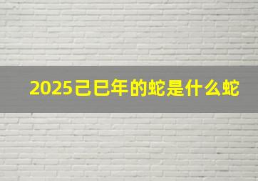 2025己巳年的蛇是什么蛇