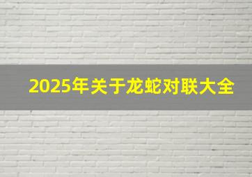 2025年关于龙蛇对联大全