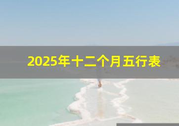 2025年十二个月五行表