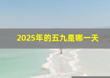 2025年的五九是哪一天