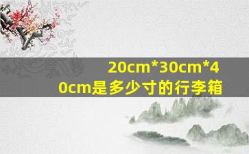 20cm*30cm*40cm是多少寸的行李箱