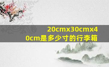 20cmx30cmx40cm是多少寸的行李箱