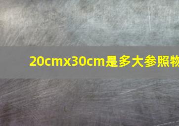 20cmx30cm是多大参照物