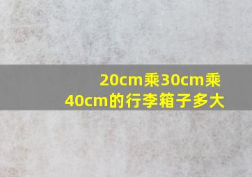 20cm乘30cm乘40cm的行李箱子多大