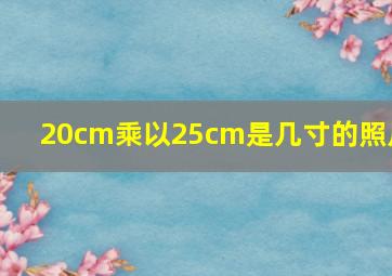 20cm乘以25cm是几寸的照片