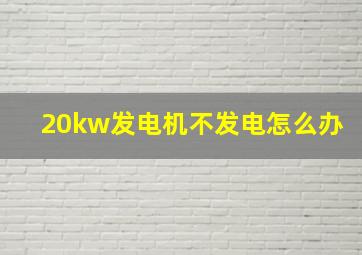 20kw发电机不发电怎么办