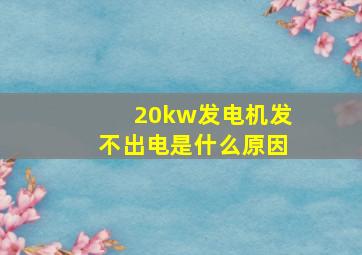 20kw发电机发不出电是什么原因