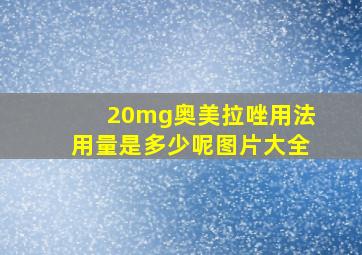 20mg奥美拉唑用法用量是多少呢图片大全