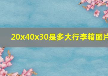 20x40x30是多大行李箱图片