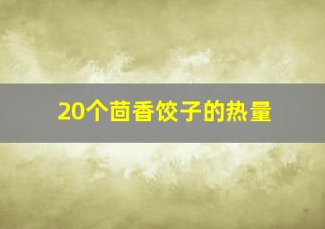 20个茴香饺子的热量