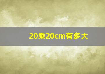 20乘20cm有多大