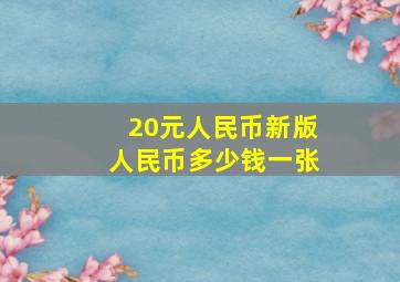 20元人民币新版人民币多少钱一张