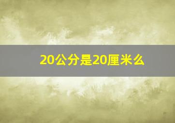 20公分是20厘米么