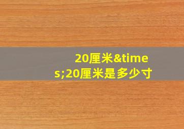 20厘米×20厘米是多少寸