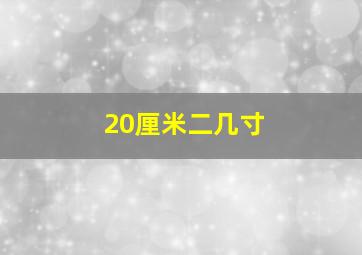 20厘米二几寸