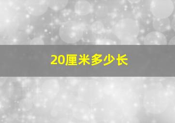 20厘米多少长