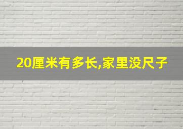 20厘米有多长,家里没尺子