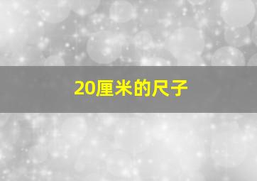 20厘米的尺子