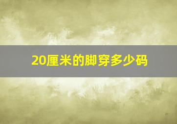 20厘米的脚穿多少码