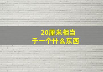 20厘米相当于一个什么东西