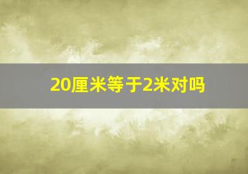 20厘米等于2米对吗