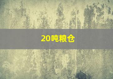 20吨粮仓